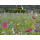 Blumenwiese "Schmetterlinge" 7m²
